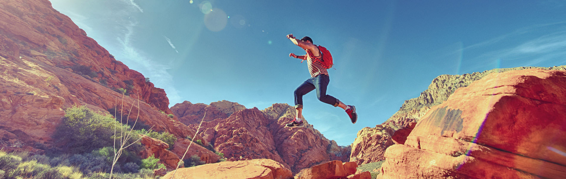 life coach life coach